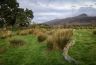 Near-Loch-Tay-in-Killin-4-XL.jpg