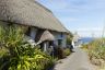 25014320Beaches-Lizardarea-ChurchCove-29August2016-2-MattJessop.jpg