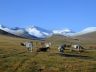 Horses in Song-Kul.jpg