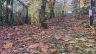 20231123_135732.jpeg