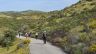 IMG-20260407-WA0032.jpeg