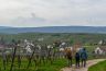 DSC_1013.jpg